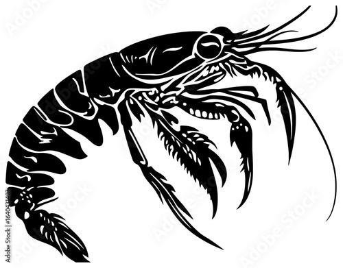 Mantis shrimp silhouette drawing