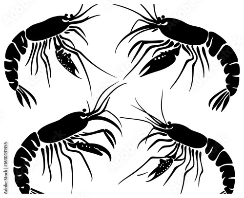 Silhouette of a Mantis Shrimp Group 