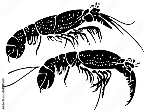 Two Mantis shrimp silhouette drawing