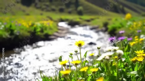 A sunny meadow with a babbling brook