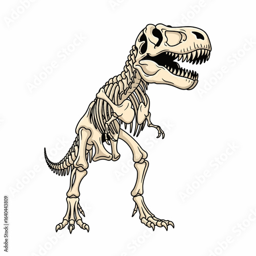 Tyrannosaurus Rex Dinosaur Skeleton Fossil in Standing Pose