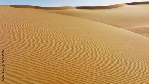 Golden Waves of the Arabian Desert