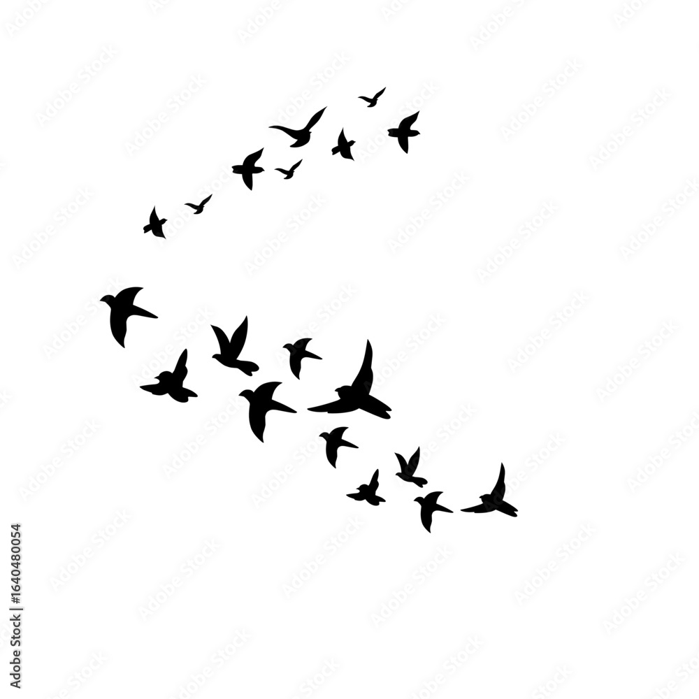 Flying Birds Silhouette Vector Set for Tattoo and Nature Art Design Flying Birds Silhouette Vector Set for Tattoo and Nature Art Design