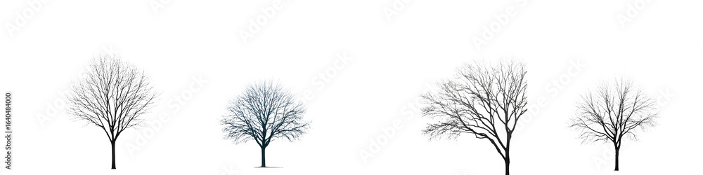 Fototapeta premium Bare Trees Silhouettes: Winter Trees Isolated on White Background
