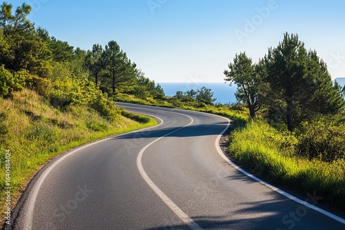 Wallpaper Mural Winding road through hillsides, ocean view Torontodigital.ca