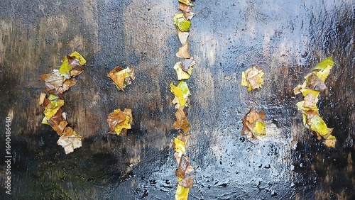 Smiling and Sad Faces Made of Autumn Leaves