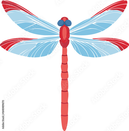Colorful dragonfly, insect or nature icon
