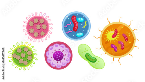 Illustration of different types of bacteria germs viruses microorganisms and pathogens for science education