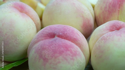 Hakuho pink Peach on wooden table,White Peach premium fruit in wooden tray on wooden background