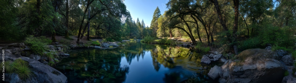 Obraz premium Serene forest hdr 360° reflection scene