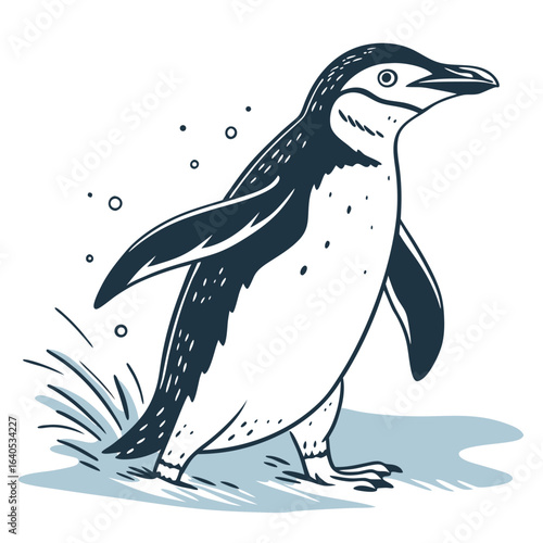 Single Hand Drawn Penguin Walking Near the Sea, Isolated on White