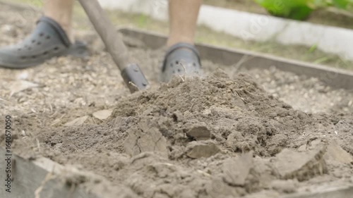 Wallpaper Mural A shovel is used to plow the soil of a garden bed, close-up Torontodigital.ca