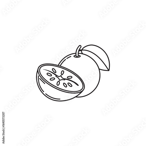  Sapodilla Fruit line art flat vector illustration.