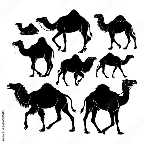 Silhouette Collection of Camels Featuring Various Poses and Styles