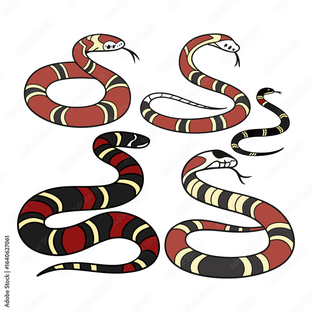 Naklejka premium Illustrated Collection of Arizona Coral Snakes with Unique Patterned Skin