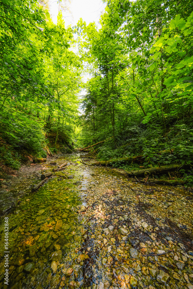 Fototapeta premium Waterfall with ladder in canyon, sucha bela in Slovak Paradise or Slovensky Raj National Park in Slovakia.
