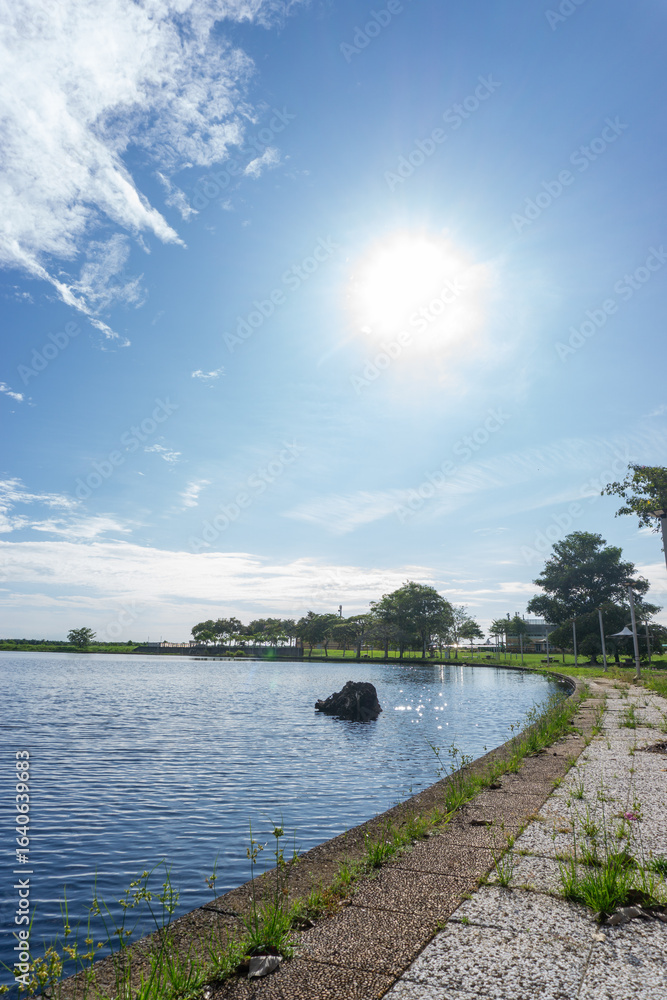 Fototapeta premium Sunny day at a lakeside park with clear blue sky and calm water