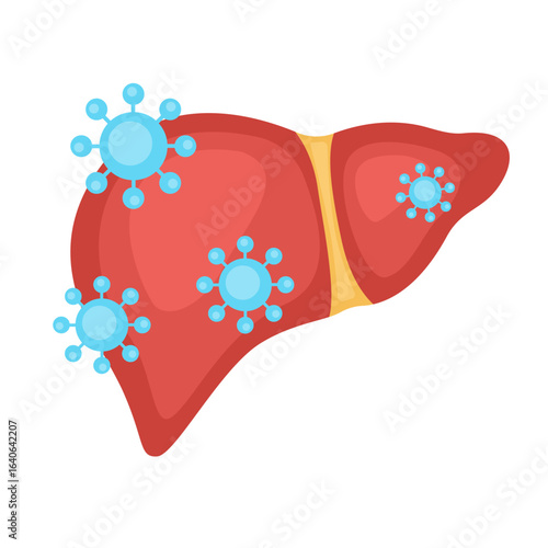 liver hepatitis virus infection concept