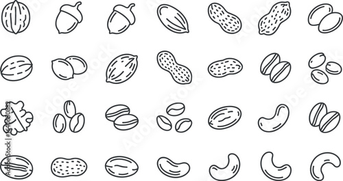 Collection of hand drawn line art illustrations of various nuts and legumes