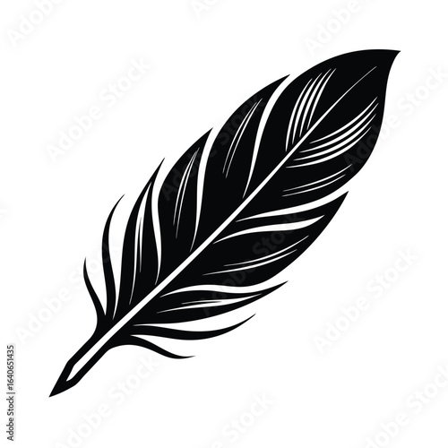 feather on white background