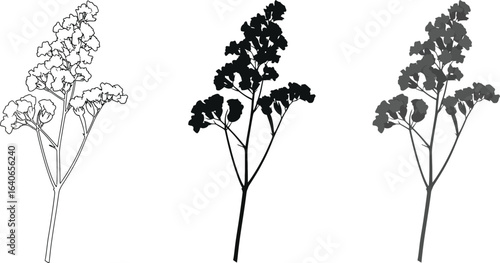 Three renderings of a flowering plant with varying levels of shading