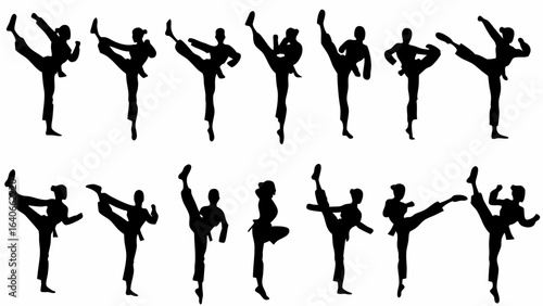 Silhouette illustration of multiple people performing various karate kicks in a dynamic and powerful display