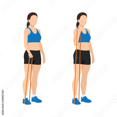 Woman doing a resistance band bicep curl to strengthen and tone the arm muscles. Flat vector illustration isolated on white background