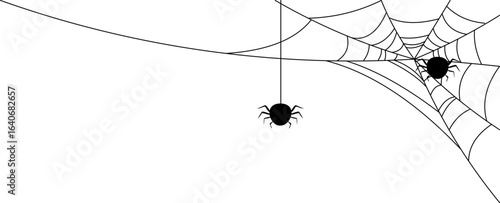 Halloween Spider Web