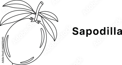 Exotic and sweet sapodilla fruit, this tropical delight is a healthy and delicious ingredient, perfect for a vegetarian diet and culinary creations