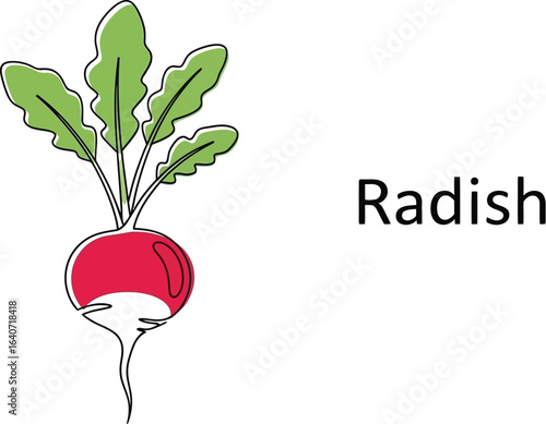 Radish with green leaves, a healthy and fresh root vegetable, , perfect for salads, cooking, and adding a crunchy, pungent flavor to any dish