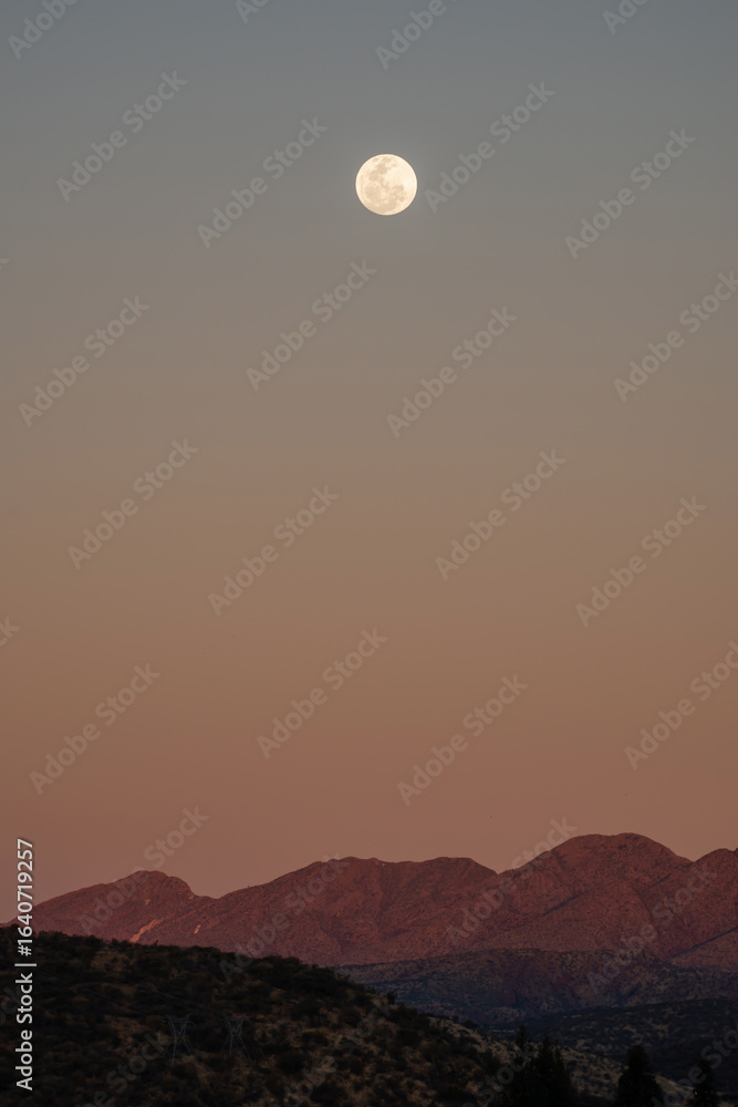 Fototapeta premium Pleine lune au crépuscule