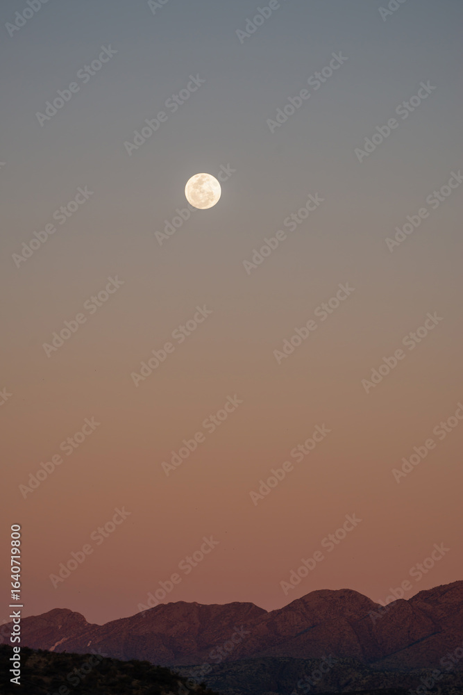 Fototapeta premium Pleine lune au crépuscule