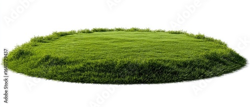 Fototapeta Naklejka Na Ścianę i Meble -  Circular grassy knoll