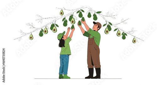Avocado Harvest With Family Illustrates Sustainable Farming Practices