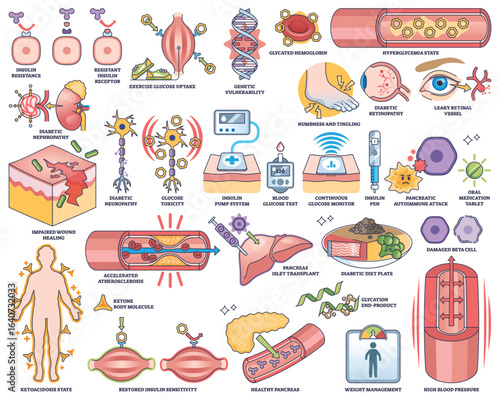 Diabetes Mellitus is illustrated with insulin resistance, blood glucose test, and damaged beta cells. Outline style worksheet collection