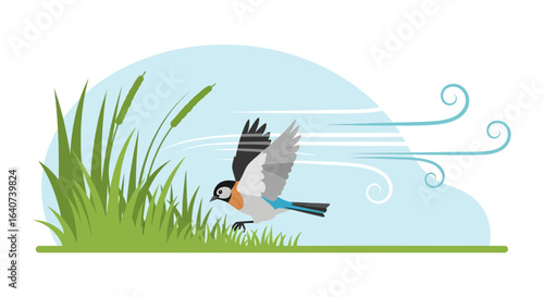 Colorful Bird Taking Flight During a Windy Day In a Nature Setting