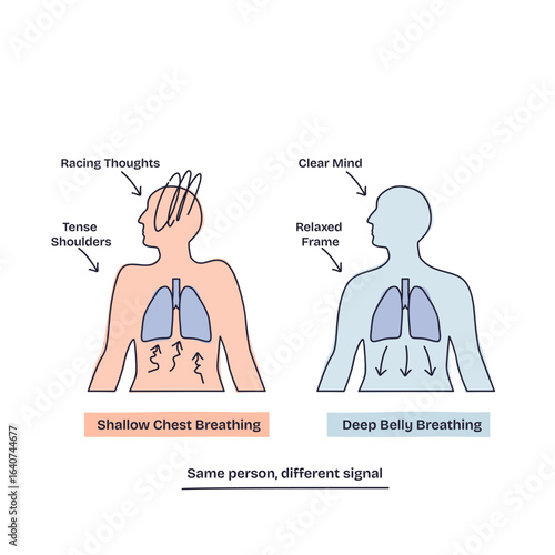 Breathing techniques compare shallow chest breathing and deep belly breathing, highlighting mental and physical effects. Key objects, lungs, arrows, human figures. Doodle style diagram