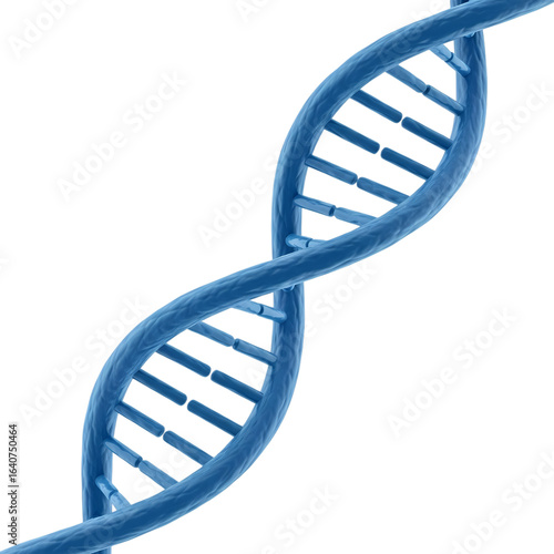 dna strand on white background