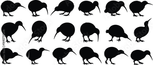 Kiwi bird silhouettes collection, walking kiwi bird, pecking kiwi bird, standing kiwi bird, New Zealand wildlife, flightless bird shapes, animal poses, black silhouettes.