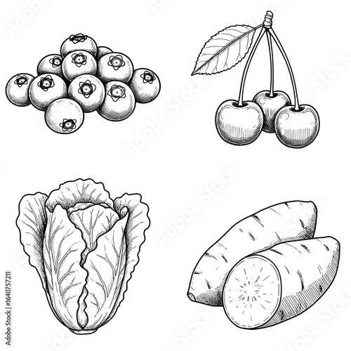 Collection of World Vegetarian Day-themed icons, including Blueberries, cherries, lettuce, sweet potato