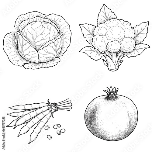 Collection of World Vegetarian Day-themed icons, including Cabbage, cauliflower, green beans, pomegranate