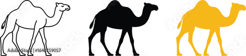 Three stylized camels outline, silhouette, and color