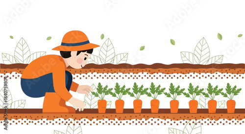 Farmer Growing Carrots In Vegetable Garden During Harvest Season