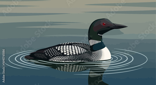 Elegant vector illustration of a common loon swimming peacefully in calm waters