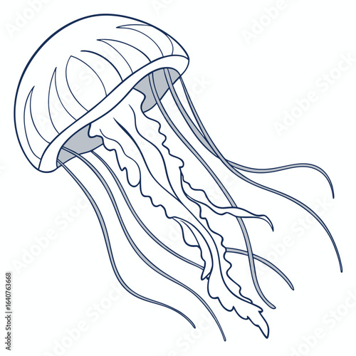 Line art illustration of a jellyfish with flowing tentacles on white background