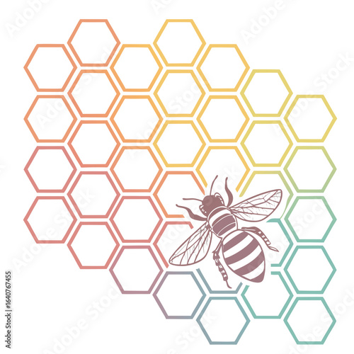 vector background with honeycombs