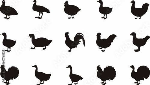 Silhouette collection of various poultry birds including ducks geese chickens and turkeys shown on white 100