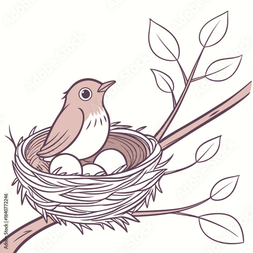 A lovely bird rests in its nest full of eggs on a branch