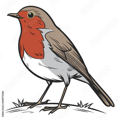 Colorful cartoon illustration of a European Robin bird standing on grass