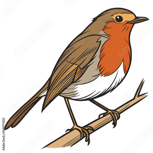 Stylized Illustration of a European Robin Perched on a Branch with Simple Colors